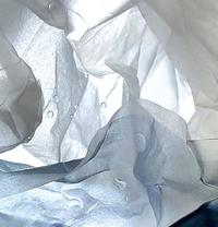 WHITE NOISE - Anna Werkmeister