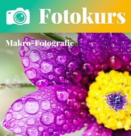Fotokurs Makrofotografie