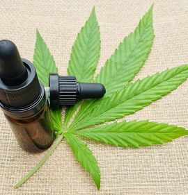 Studie enthüllt: CBD wirkt bei chronischen Schmerzen
