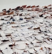 Transformation Paper