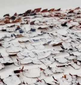 Transformation Paper