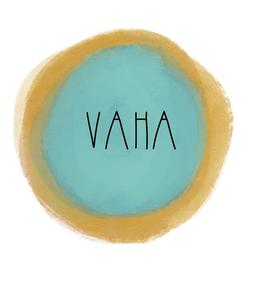 VAHA III: Transnational Networking Meeting 2025 for Arts and Cultural Organisations