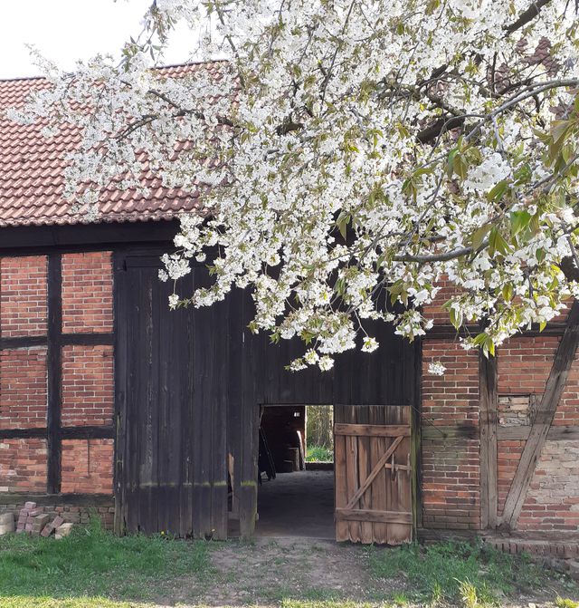 Transformative Community-Projekte im ländlichen Raum Ostdeutschlands