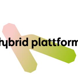 Hybrid Plattform