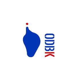 Organization for the Democratization of the Visual Arts, ODBK