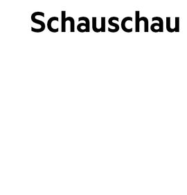 Schauschau GbR, Design Studio