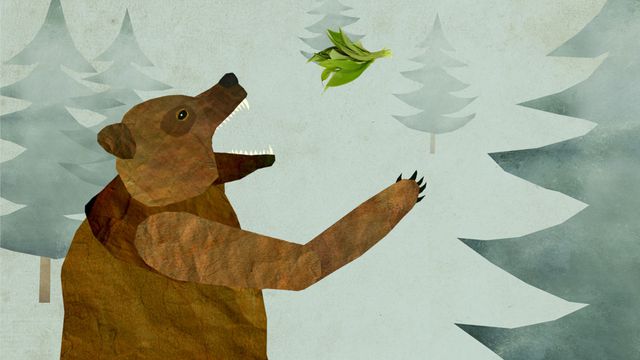 Animation Showreel