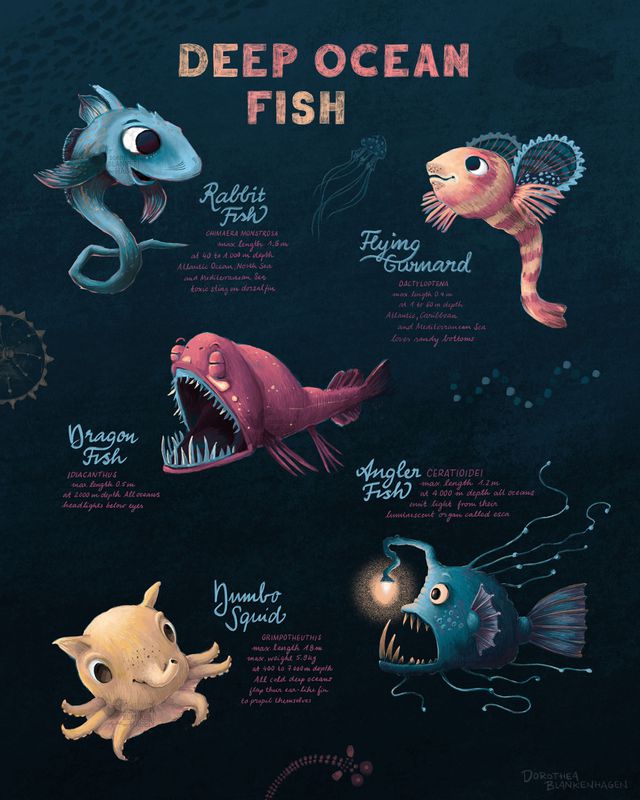 Deep ocean fish