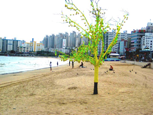 Lemon Tree