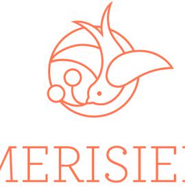 Merisier GmbH