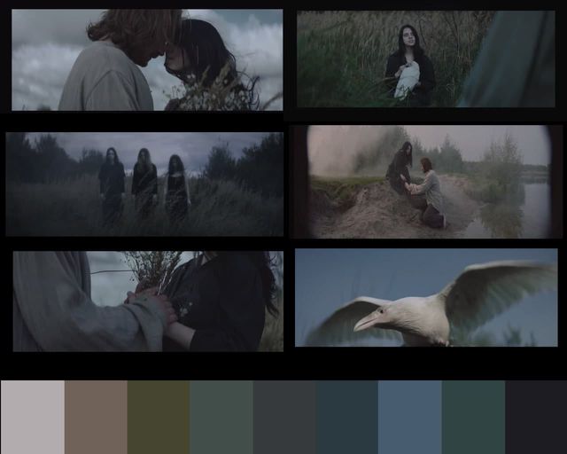 Video/Filmprojekte