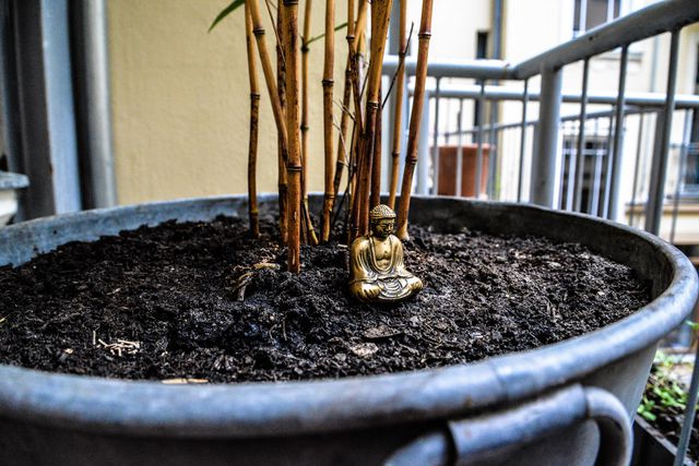 Zen in the middle of Berlin