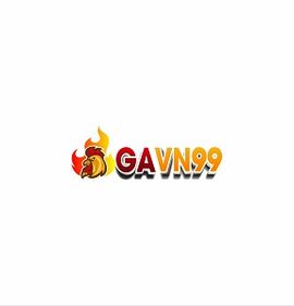 GAVN99 org