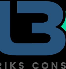 Metabricks Consulting