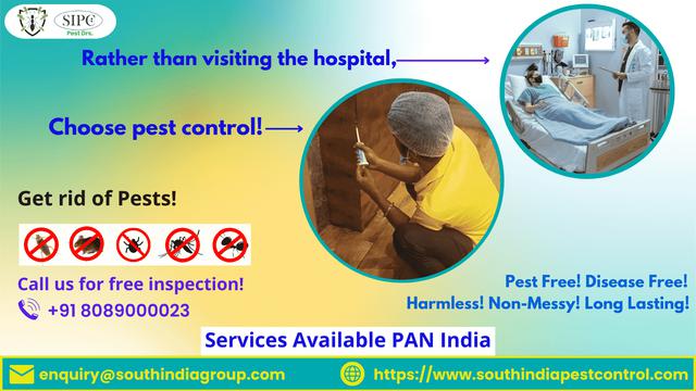 Best Pest Control Services in Goa
