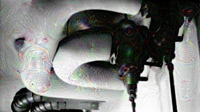 Holocaust / Daisy Chain | ANN /DeepDream